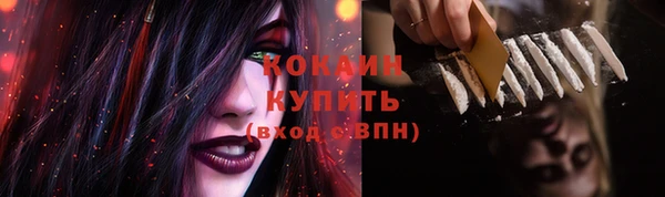бошки Карпинск
