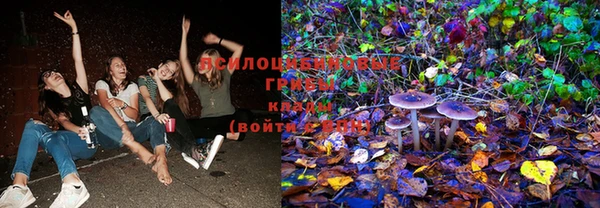 бошки Карпинск