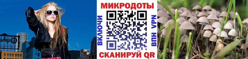 Купить закладки  Жирновск  Галлюциногенные грибы Psilocybine cubensis 